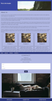 Example Website 1