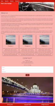 Example Website 4